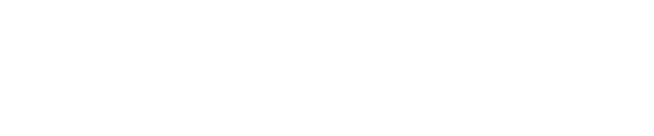 외항사